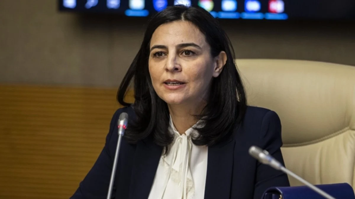 AK Partili Pervin Tuba Durgut: Sokak hayvanları sorununun sebebi insanlar