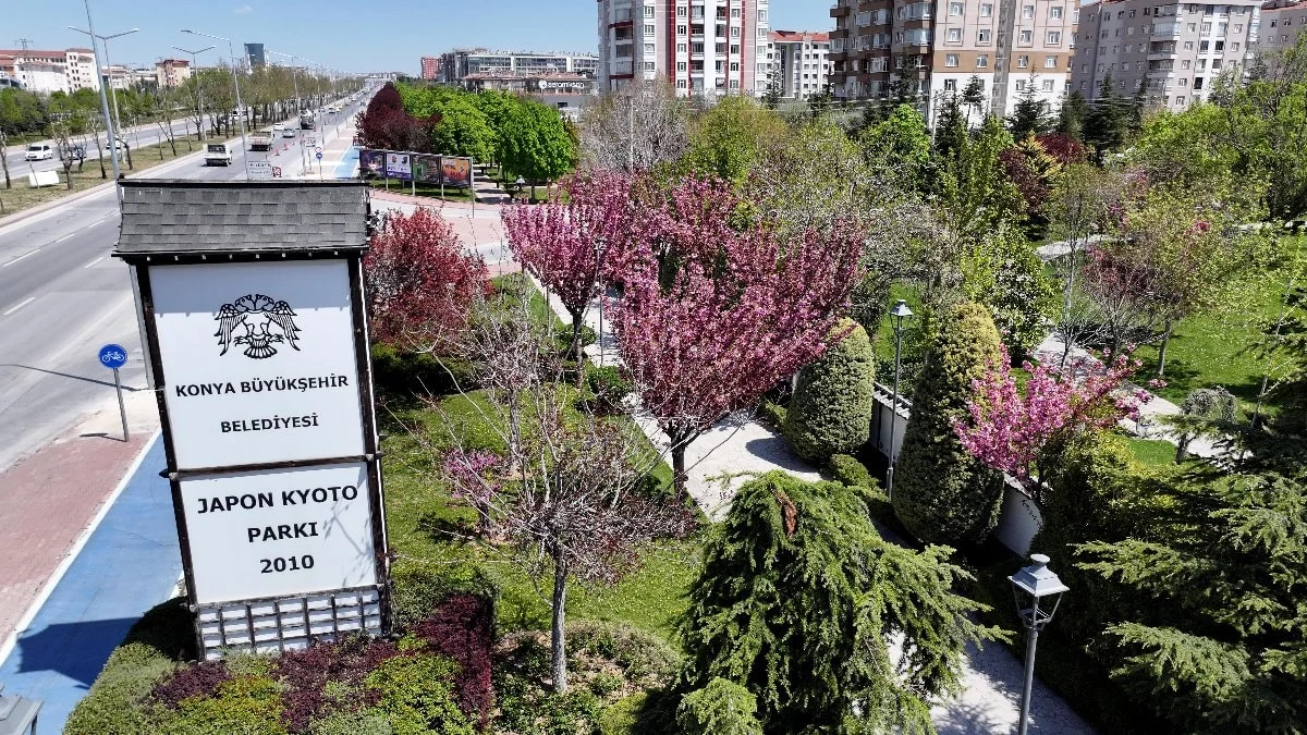 Konya'da sakura mevsimi başladı