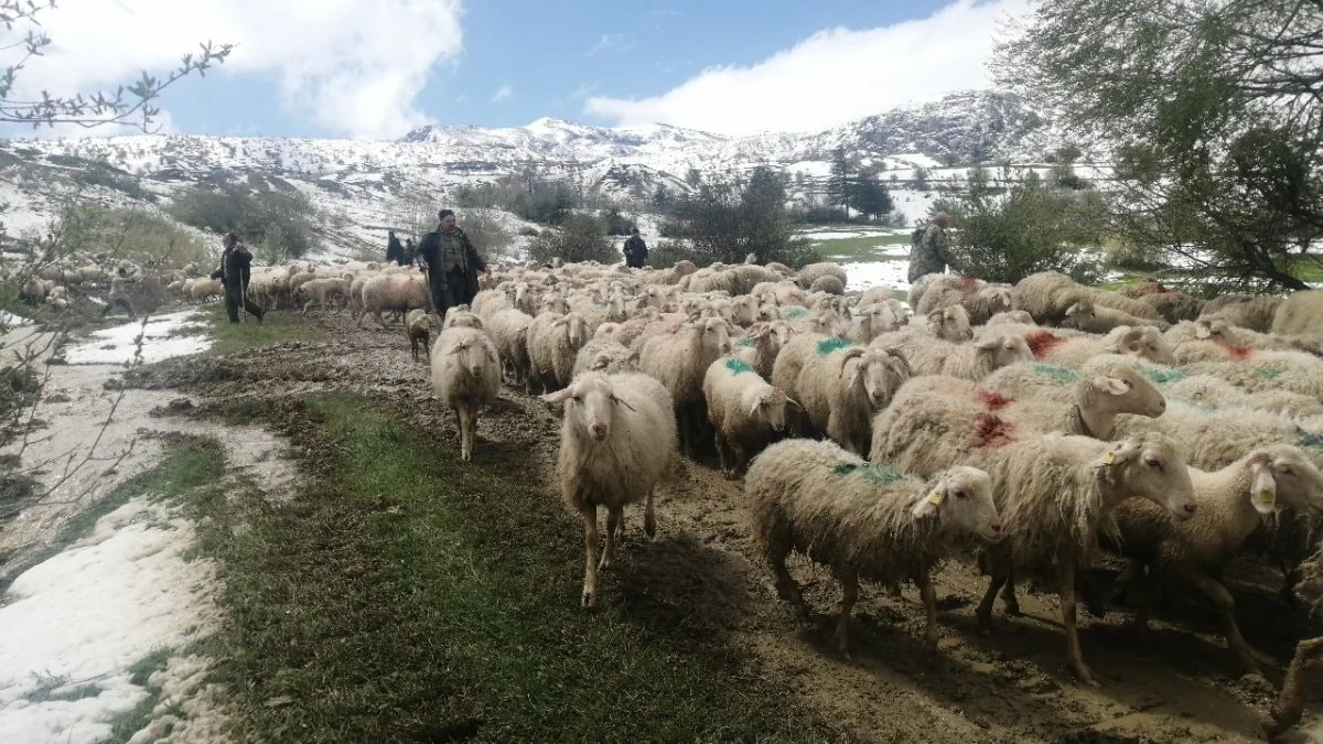 Isparta'da yaylada mahsur kalan çobanlar 30 saat sonra kurtarıldı