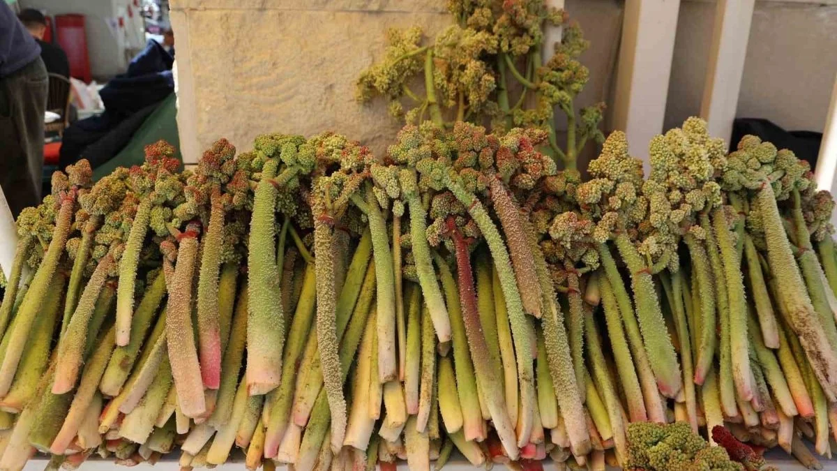Şeker, kalp, mide dostu: Tezgahlara geldi! Kilosu 400 TL...