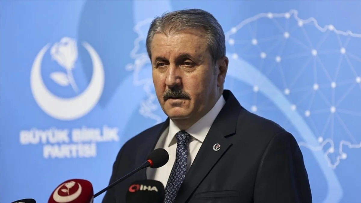 Mustafa Destici: Sahipsiz köpekler uyutulmalıdır