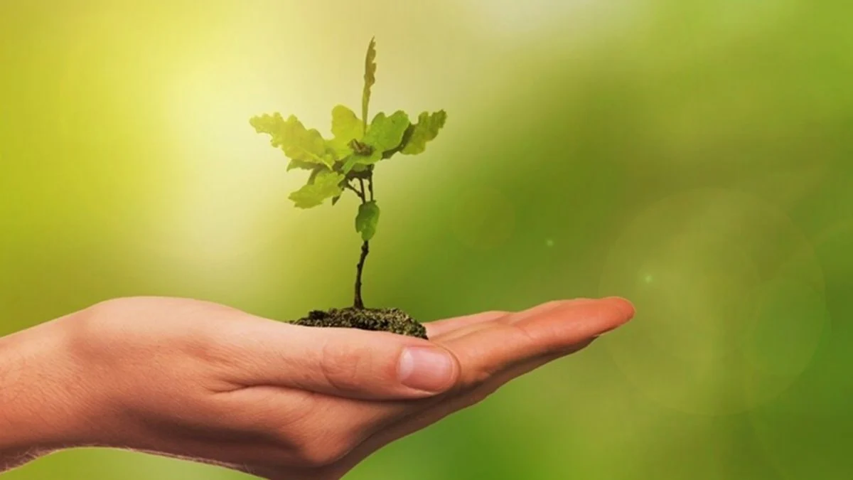 COP31 kapsamında 2'nci 'Çevre ve İklim Medya Turu' düzenlenecek