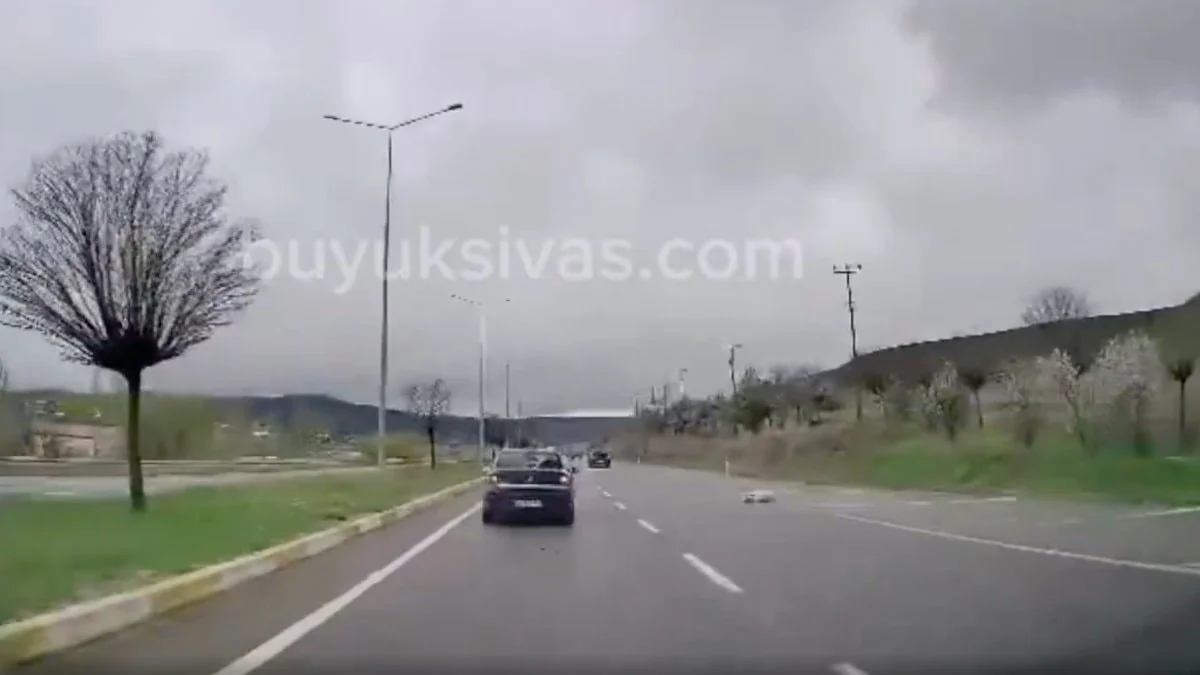 Aniden yola atlayan köpek, araca çarptı: Kıl payı kurtuldu