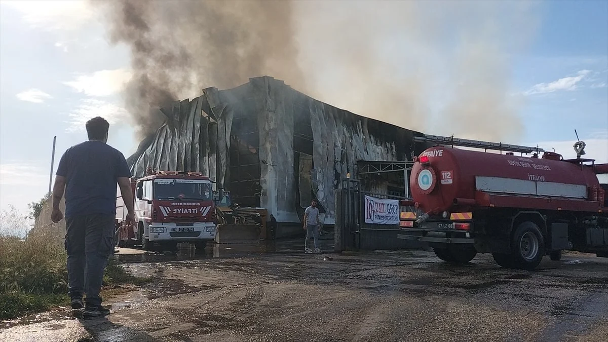 Antalya’da patates üretim tesisinde yangın