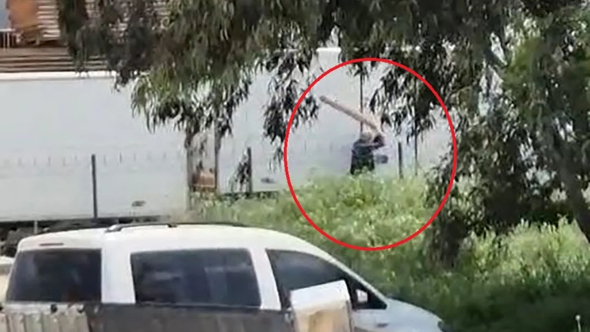 Adana'da sokak köpeğini sopayla döven kişi gözaltına alındı