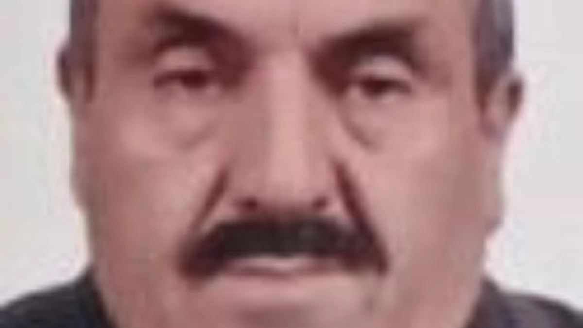 Samsun'da ağacın altında kalan yaşlı adam hayatını kaybetti
