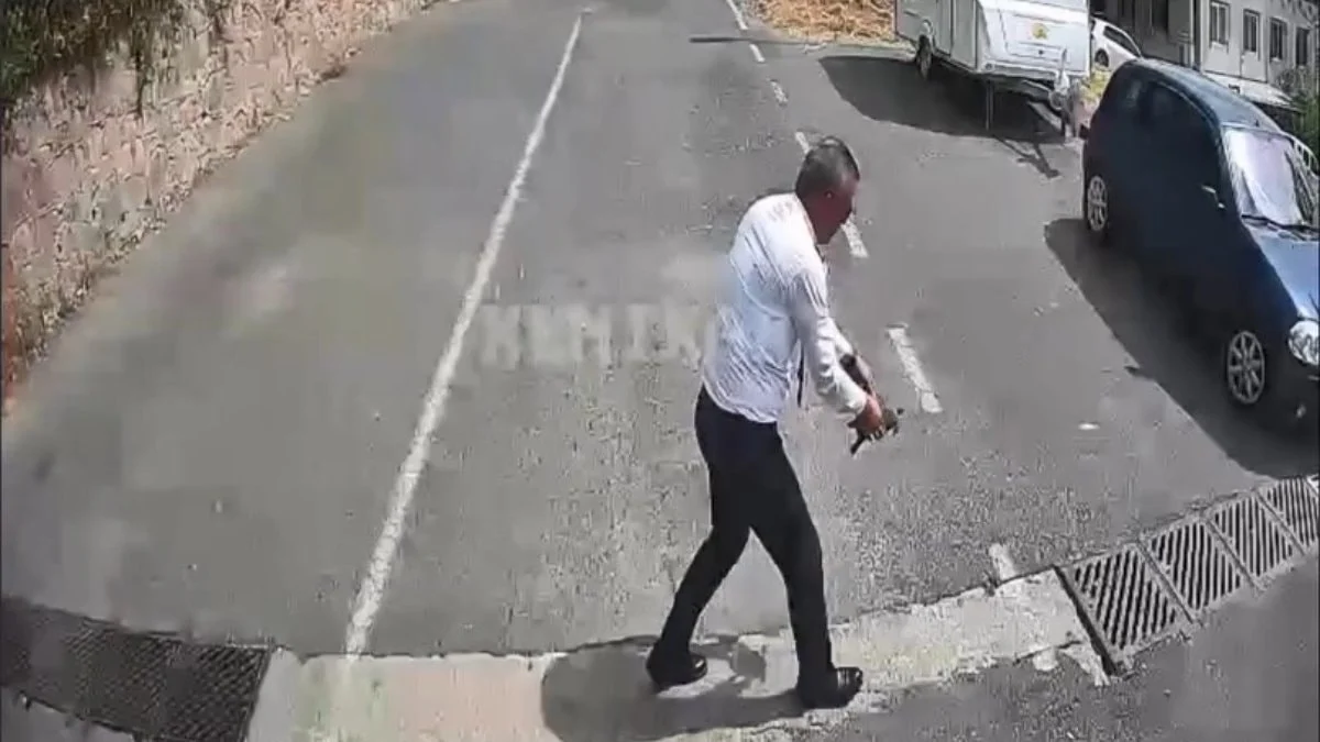 Kocaeli'de otobüsü durdurup kaplumbağayı ezilmekten kurtardı