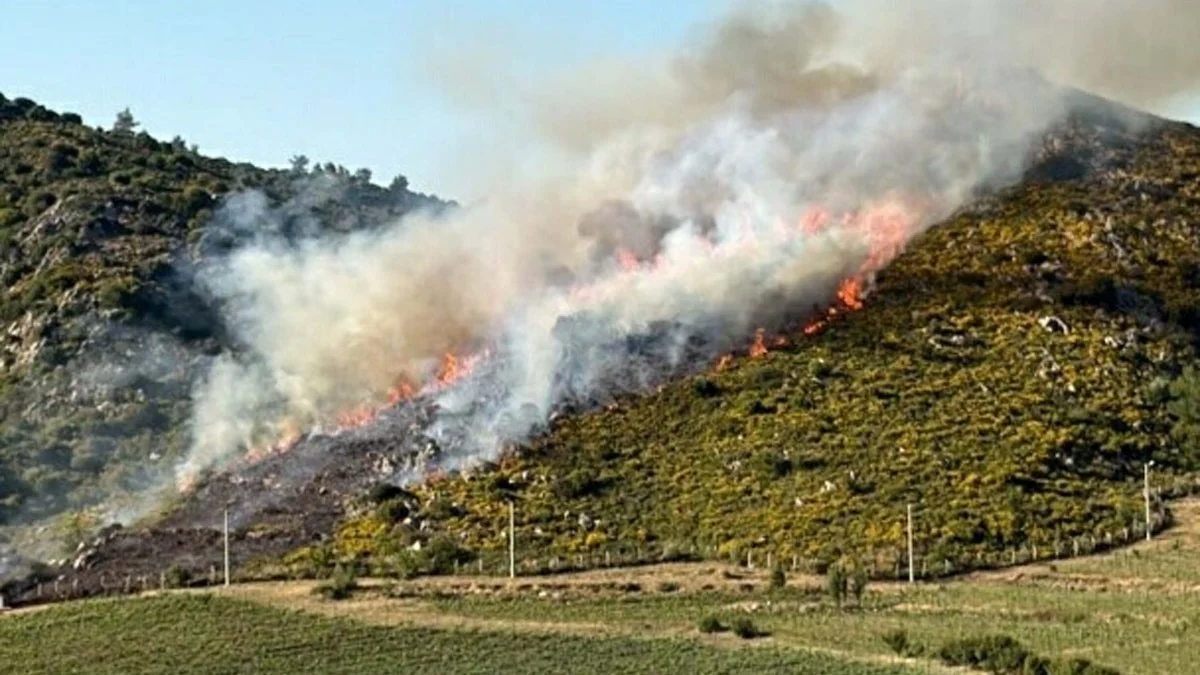 Muğla'da makilik alanda yangın çıktı
