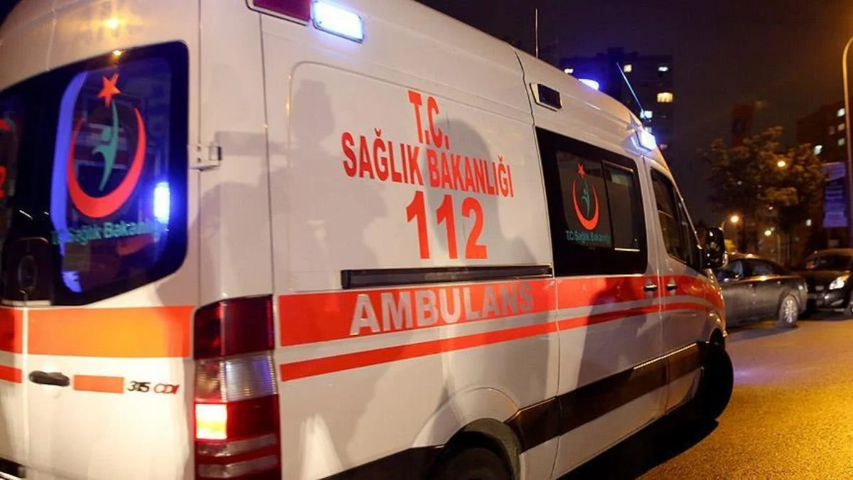 Kastamonu'da kestiği ağacın altında kalan işçi öldü