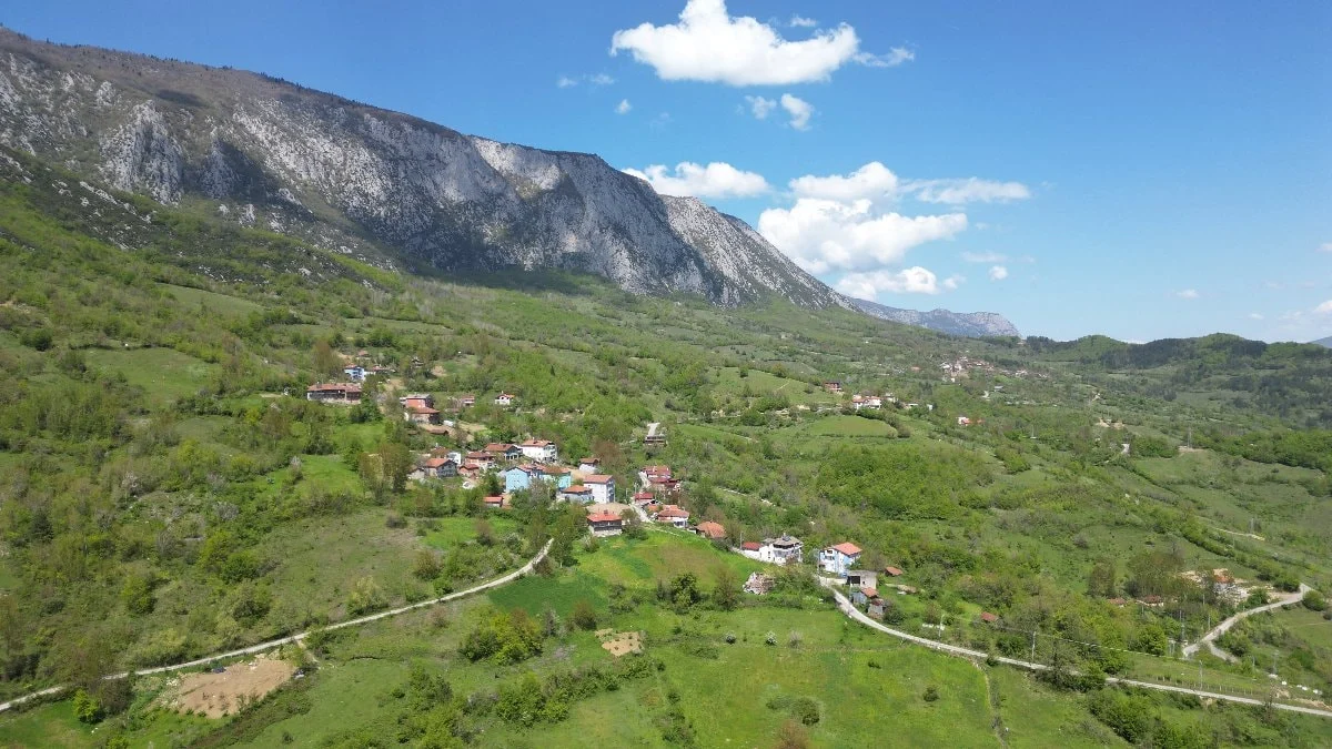 Küre Dağları’nda bahar kartpostalı: Yeşilin binbir tonu doğayla buluştu
