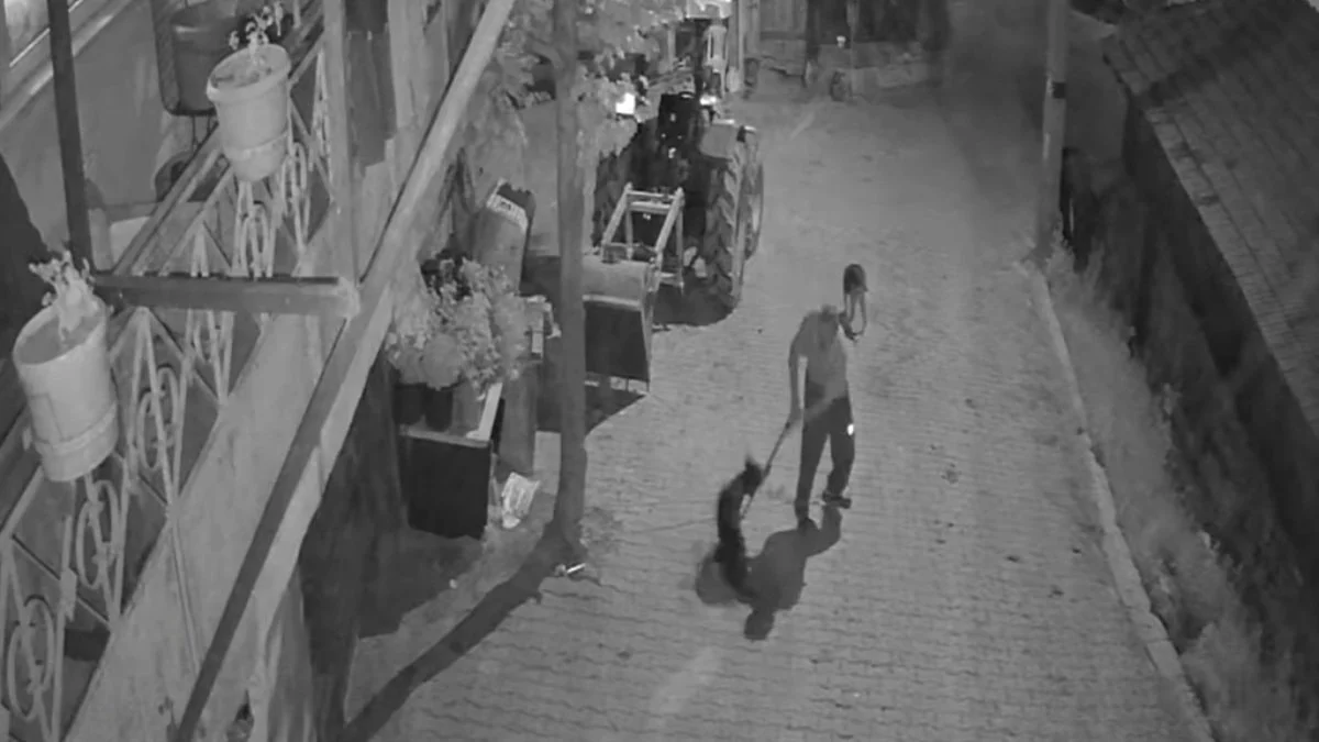 Kocaeli'de köpeği demir çubukla öldürdü: Tutuklandı