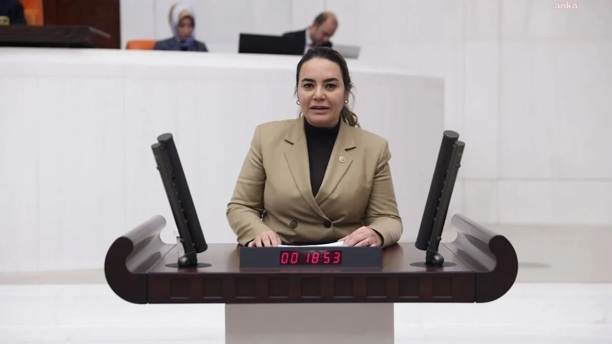 İyi Partili Ayyüce Türkeş, çakarlı konvoyu ile yemek yemeye gitti