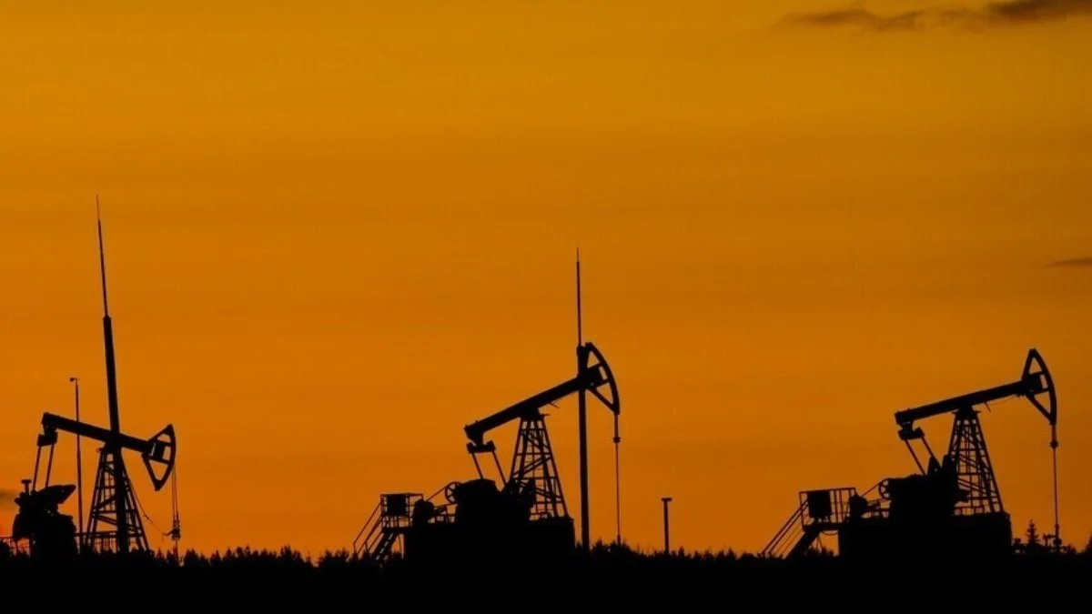 BAE'ye göre OPEC ve OPEC+ üyelikten ayrılma kararı kimseyi hedeflemiyor