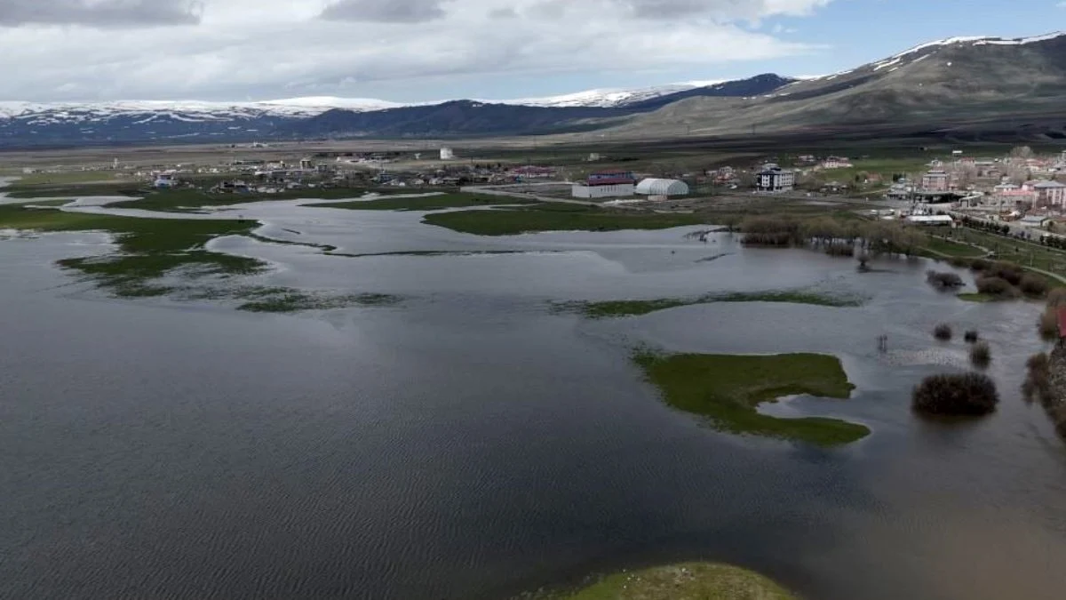 Kura Nehri taştı: Ardahan ovası göle döndü