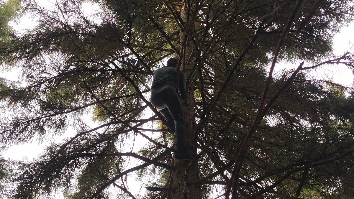 Artvin’de 40 metrelik göknar macerası: Ağaç tepesine takılan drone kurtarıldı