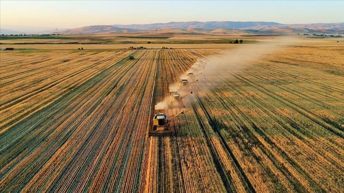 Milli yazılımla gübreleme maliyetleri yüzde 30 düşüyor