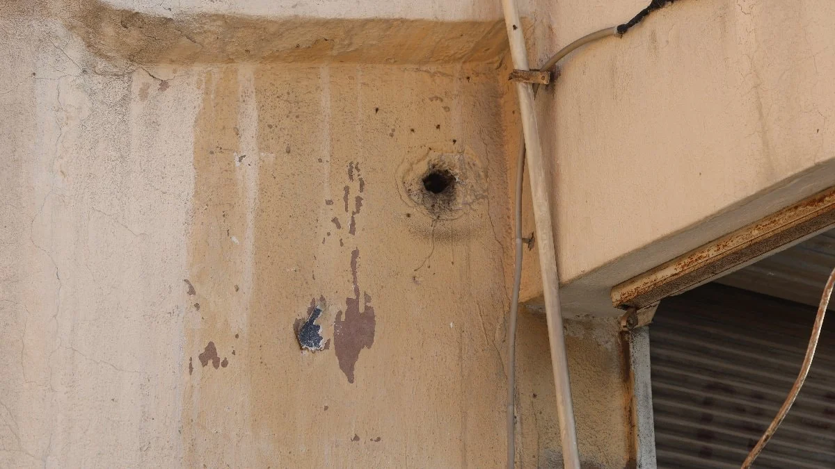 Hatay'da mahalleye yerleşen arılar taş atılınca saldırganlaştı: Kısa süreli panik yaşandı
